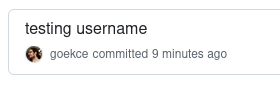 _images/github-testing-new-username.png